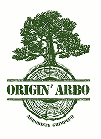 Origin'Arbo Logo