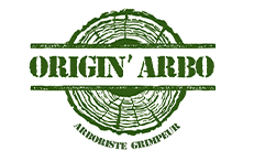 Origin Arbo - Expert arboriste
